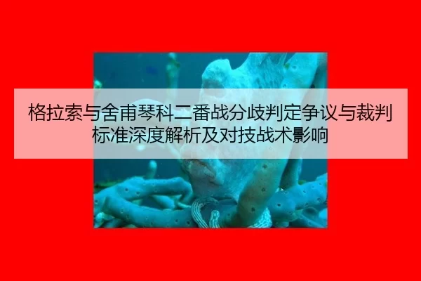 ge-la-suo-yu-she-fu-qin-ke-er-fan-zhan-fen-qi-pan-ding-zheng-yi-yu-cai-pan-biao-zhun-shen-du-jie-xi-ji-dui-ji-zhan-shu-2-942.jpg