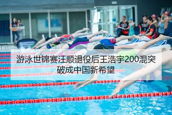 you-yong-shi-jin-sai-wang-shun-tui-yi-hou-wang-hao-yu-hun-tu-po-cheng-zhong-guo-xin-xi-wang-3-964.jpg